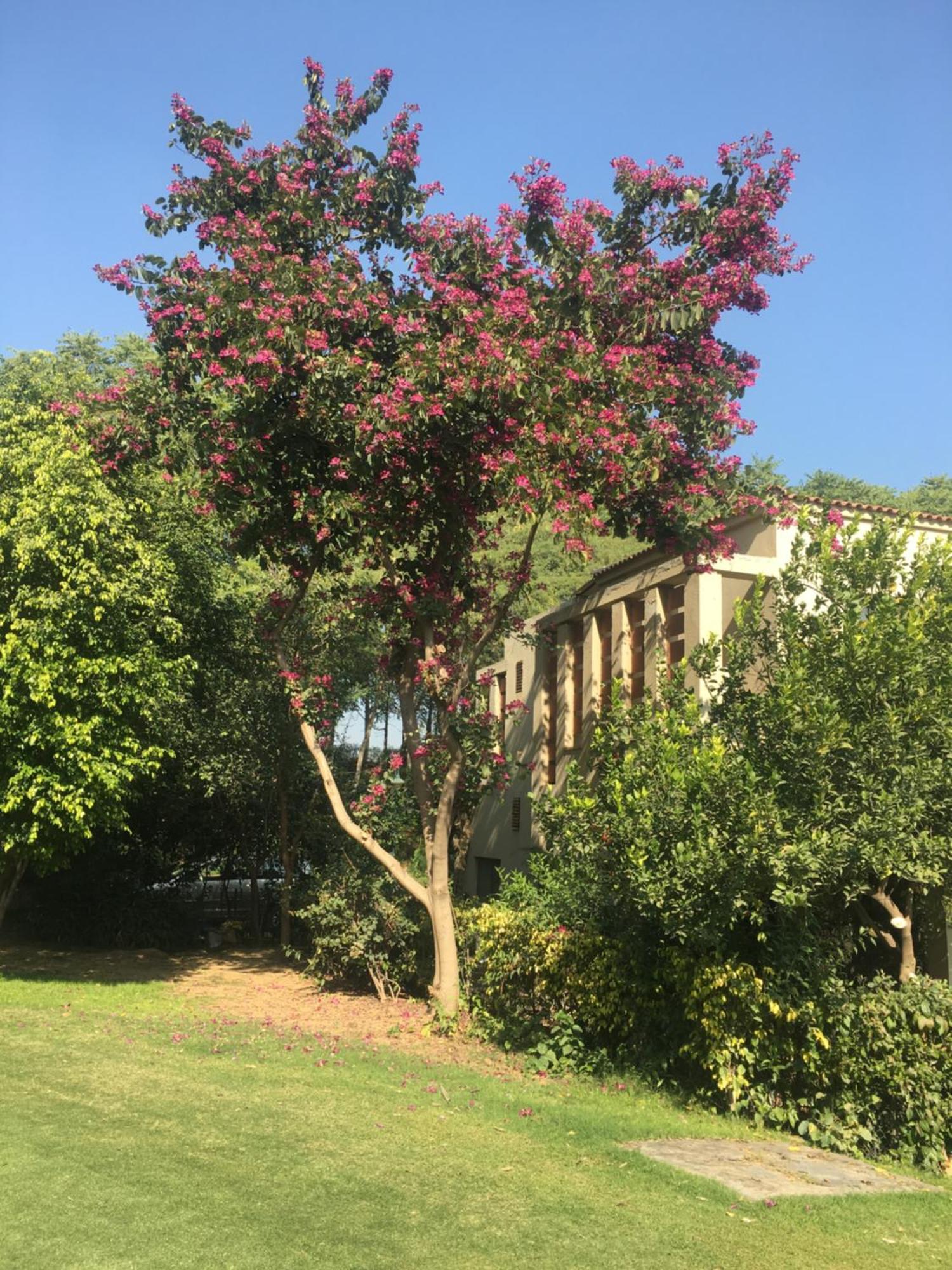מנסאר Villa At Tarudhan Valley Golf Resort מראה חיצוני תמונה